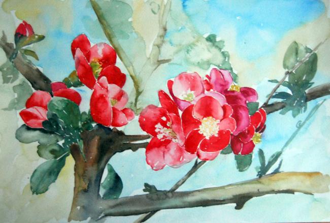 Kwiat jabłoni — Joanna Małoszczyk