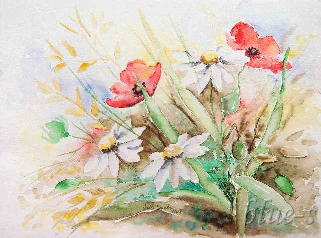 Polne kwiaty — Viola Sado
