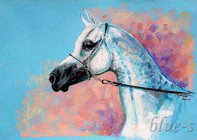Portret konia arabskiego — Mąkosa