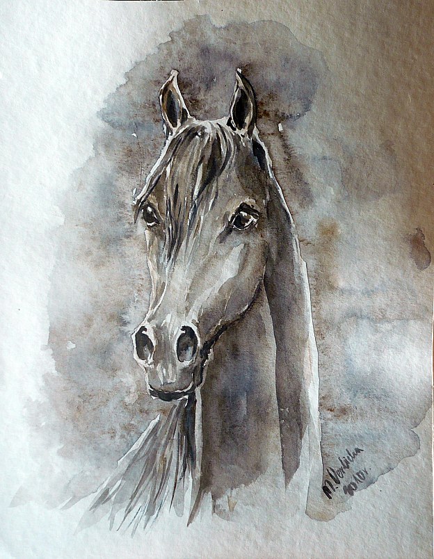 Portret konia — Michalina Derlicka