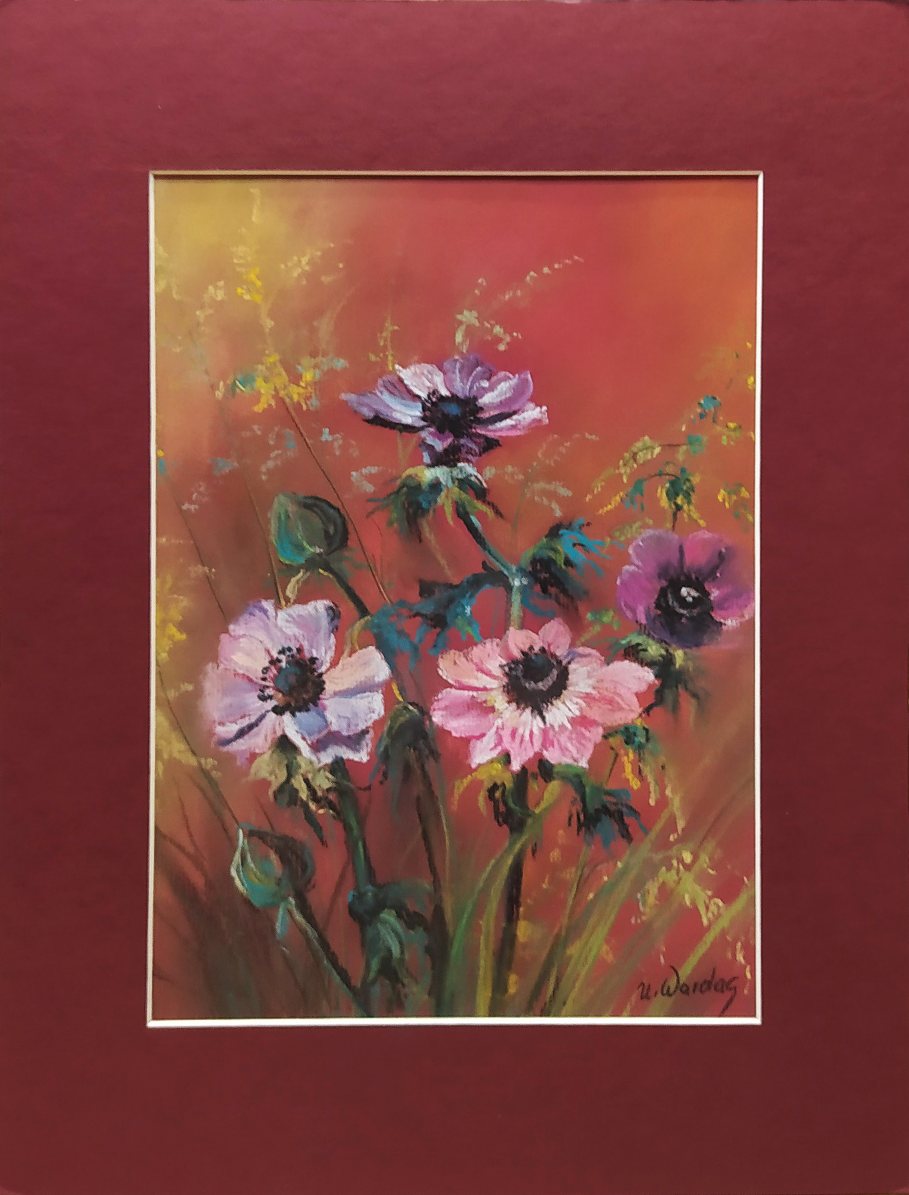 Kwiaty — Urszula Wardas