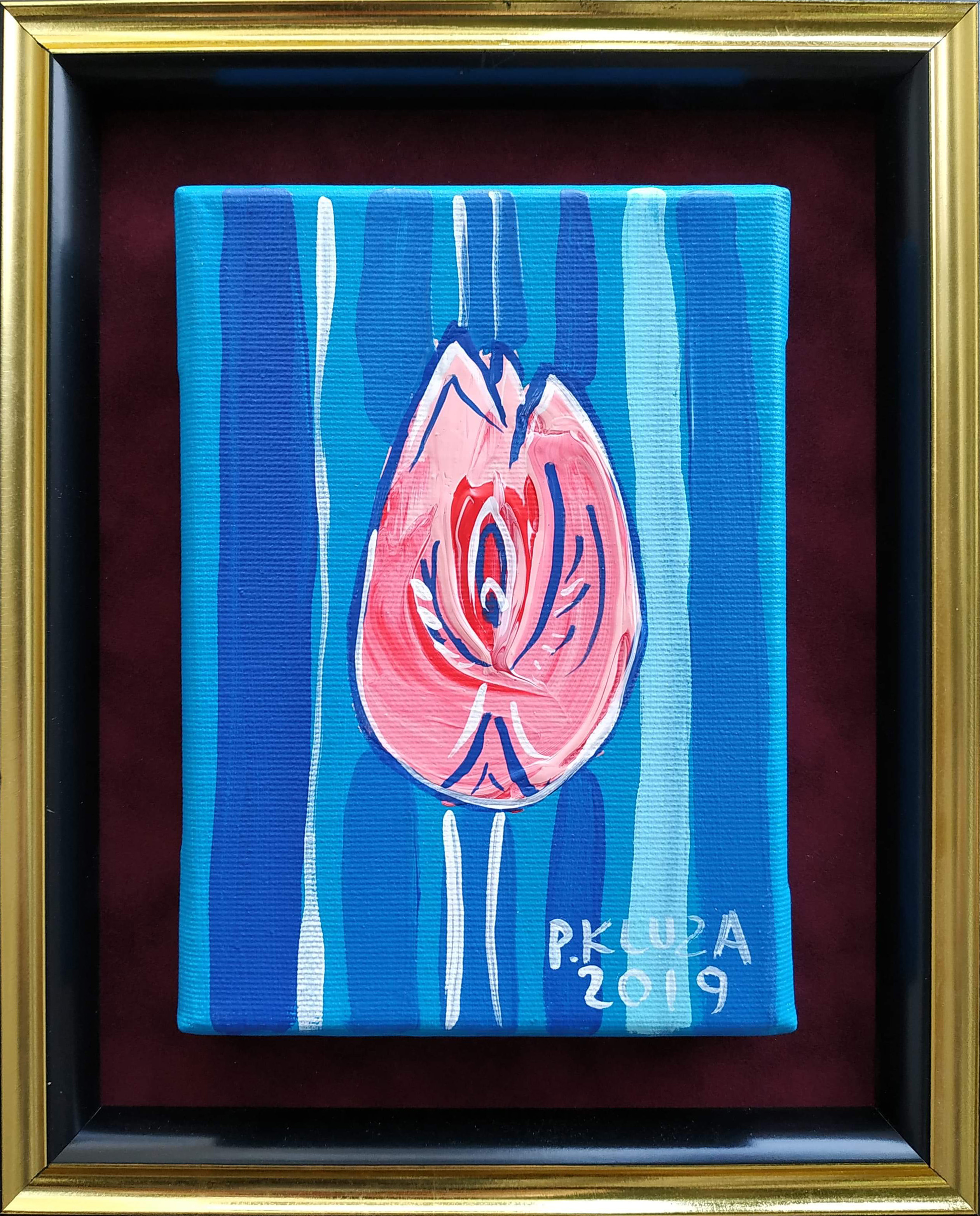 Tulipan 13 — Paweł Kluza
