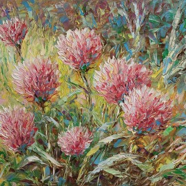 Janusz Zieliński &mdash; Koniczyna czerwona 