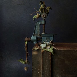 Natalia Sopoćko &mdash; Alone