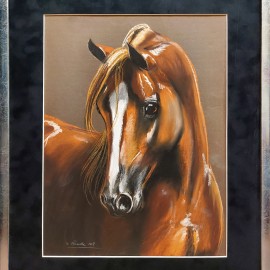 S.Tłenda &mdash; Młody koń