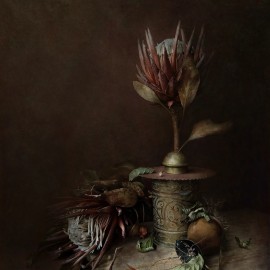 Natalia Sopoćko &mdash; Protea