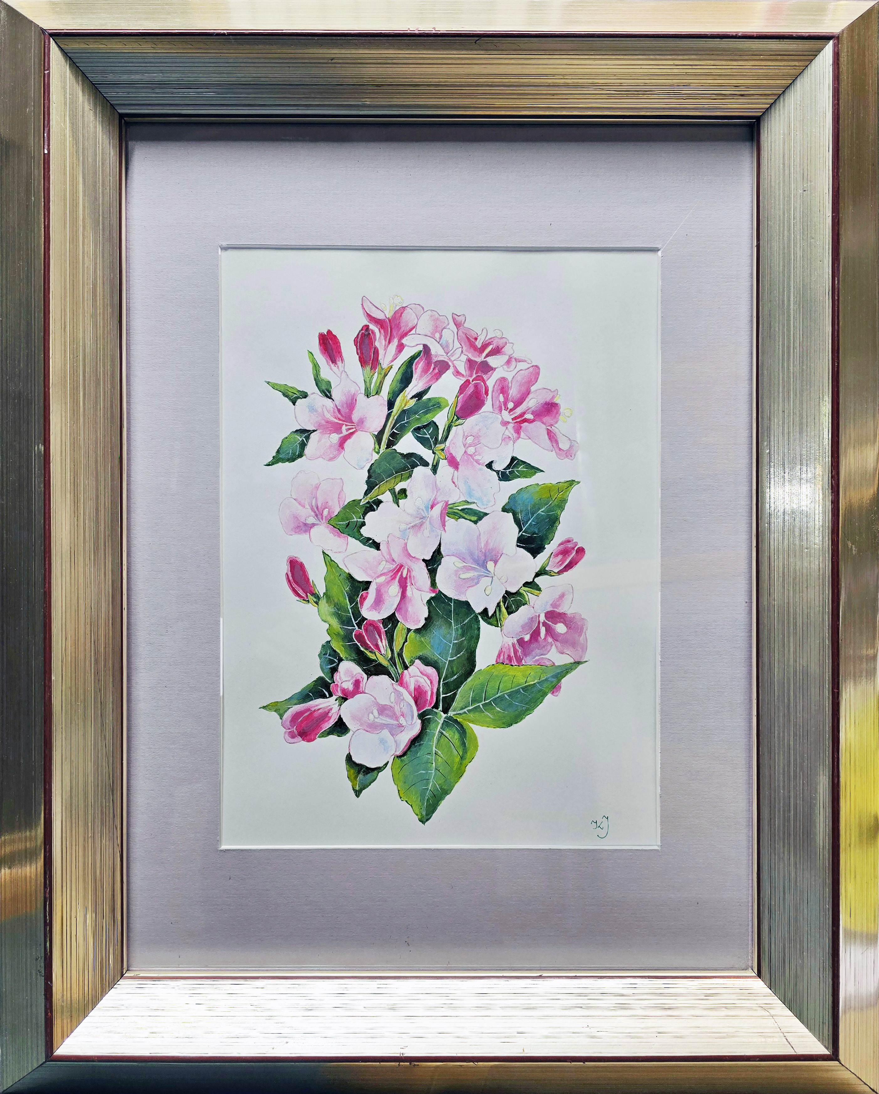 Krzewuszka (w ramie 41 x 51 cm) &mdash; Artysta nieznany