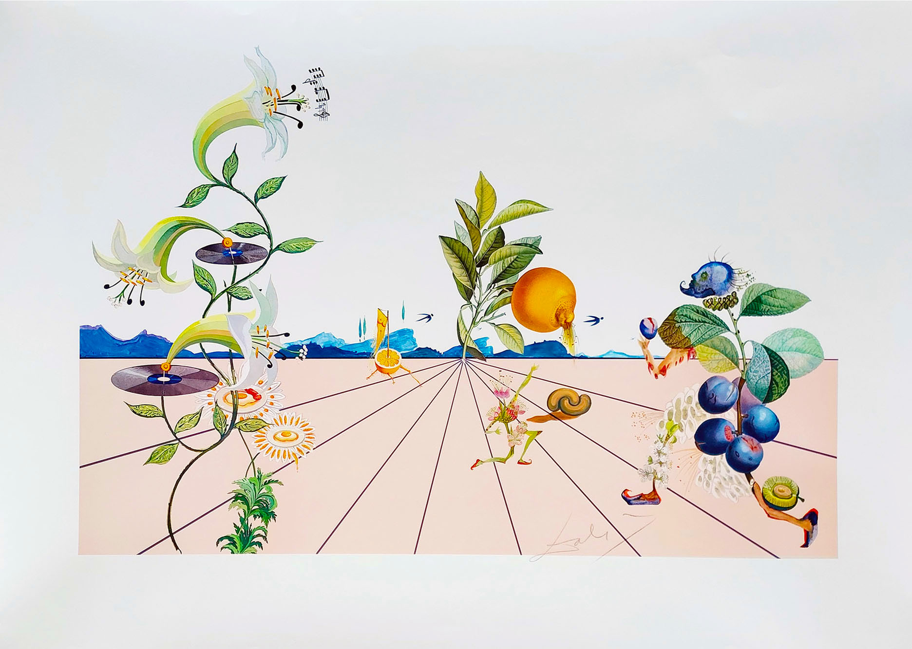 Pamplemousse Érotique z cyklu Flordali - Les Fruits  &mdash; Salvador Dalí