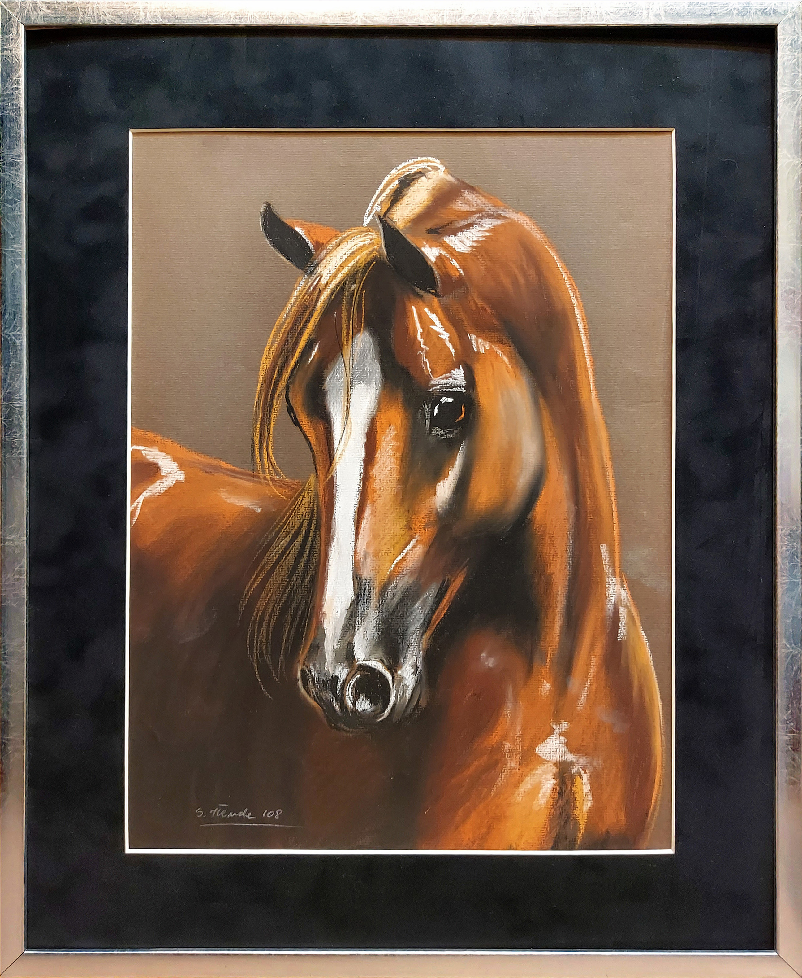 Młody koń &mdash; S.Tłenda