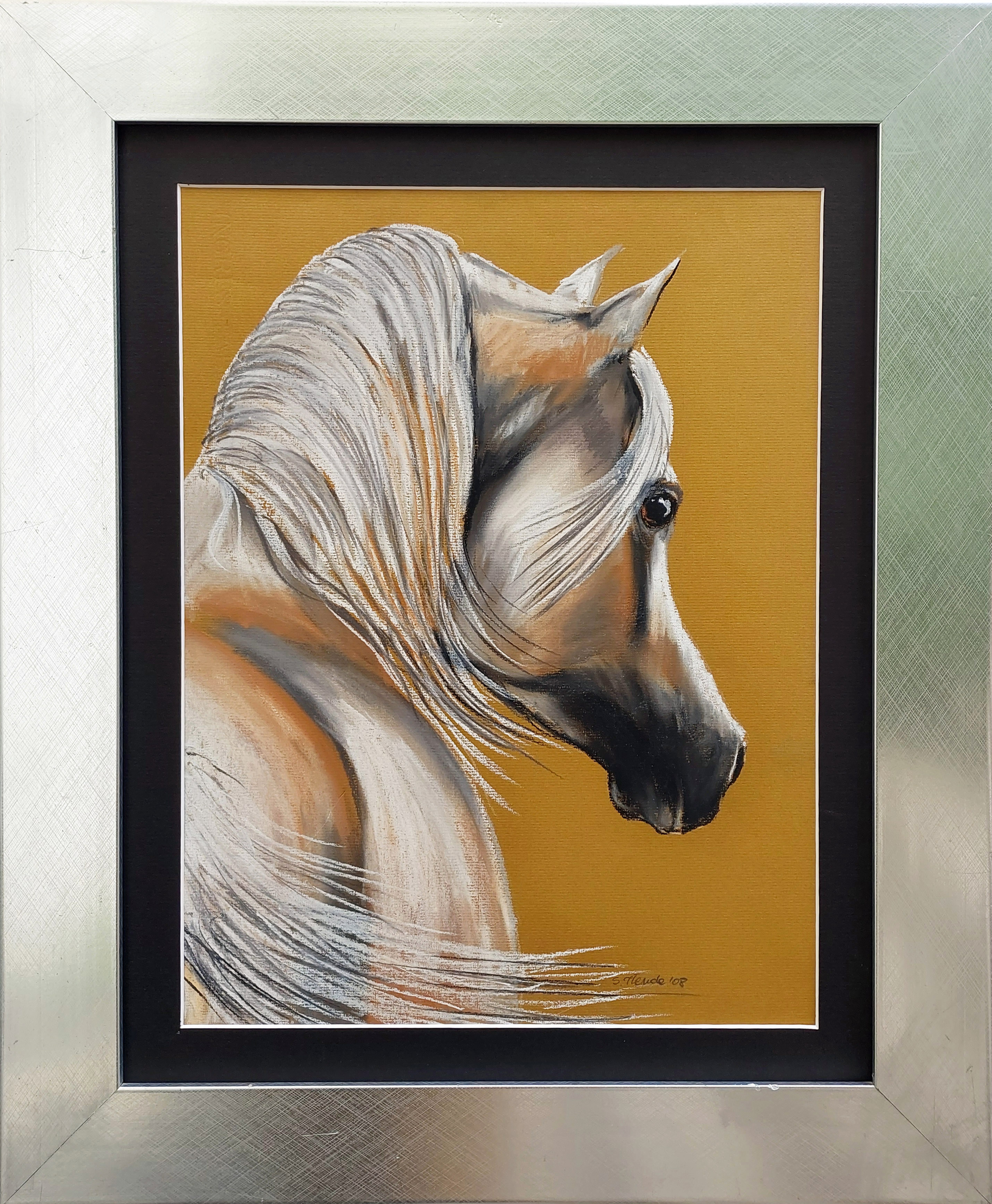 Młody koń &mdash; S.Tłenda