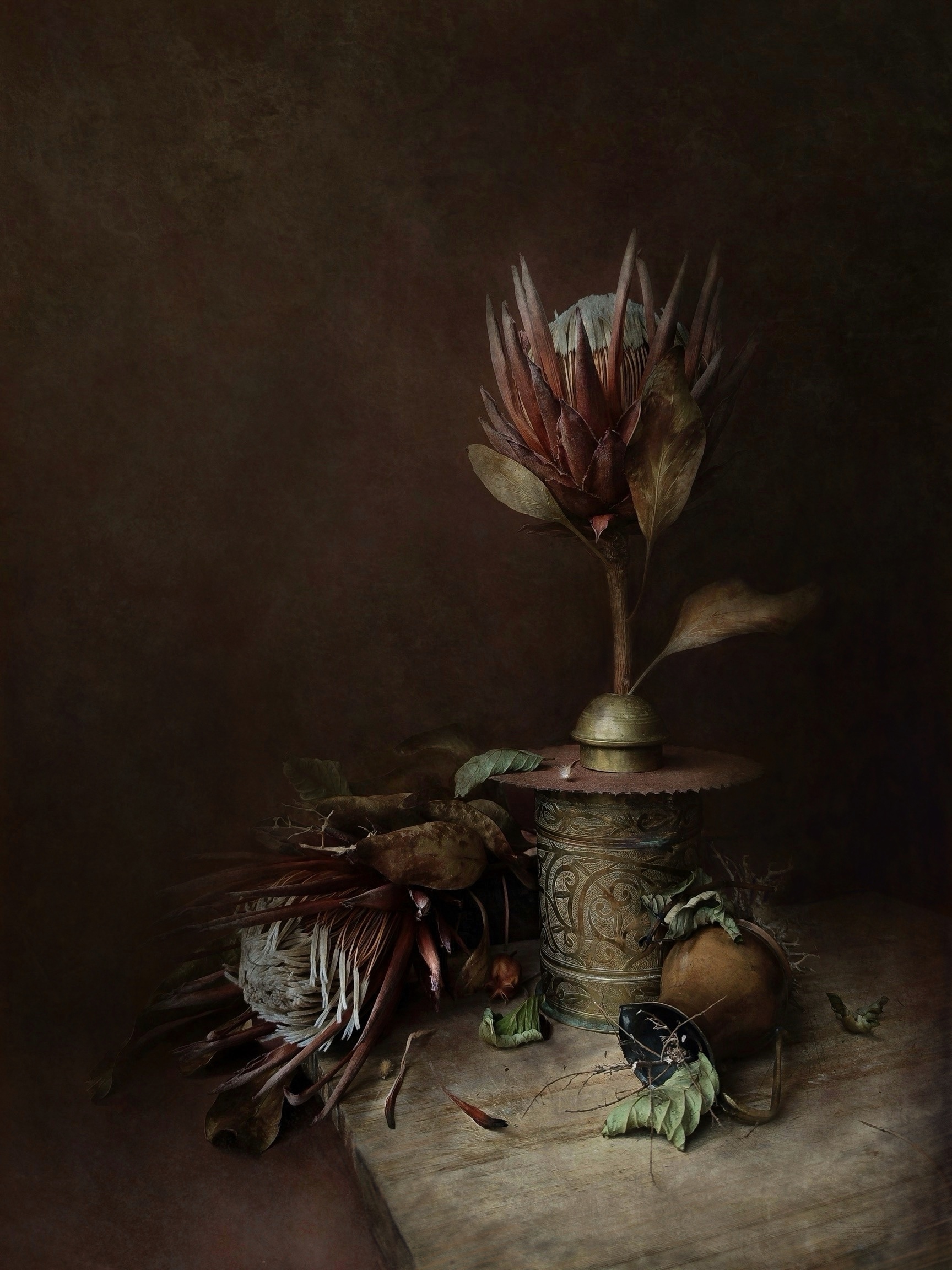 Protea &mdash; Natalia Sopoćko