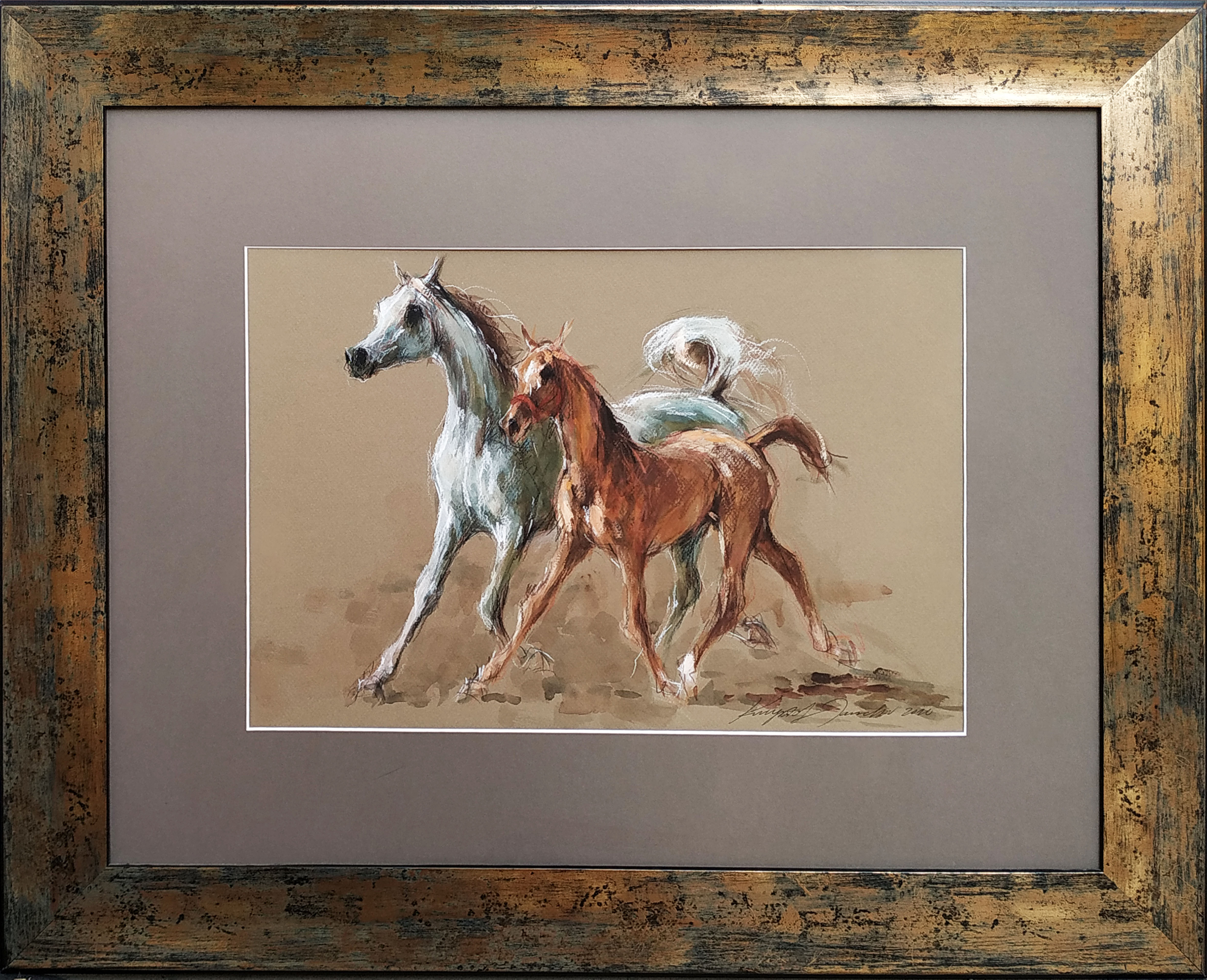 Koniki &mdash; Krzysztof Jarocki