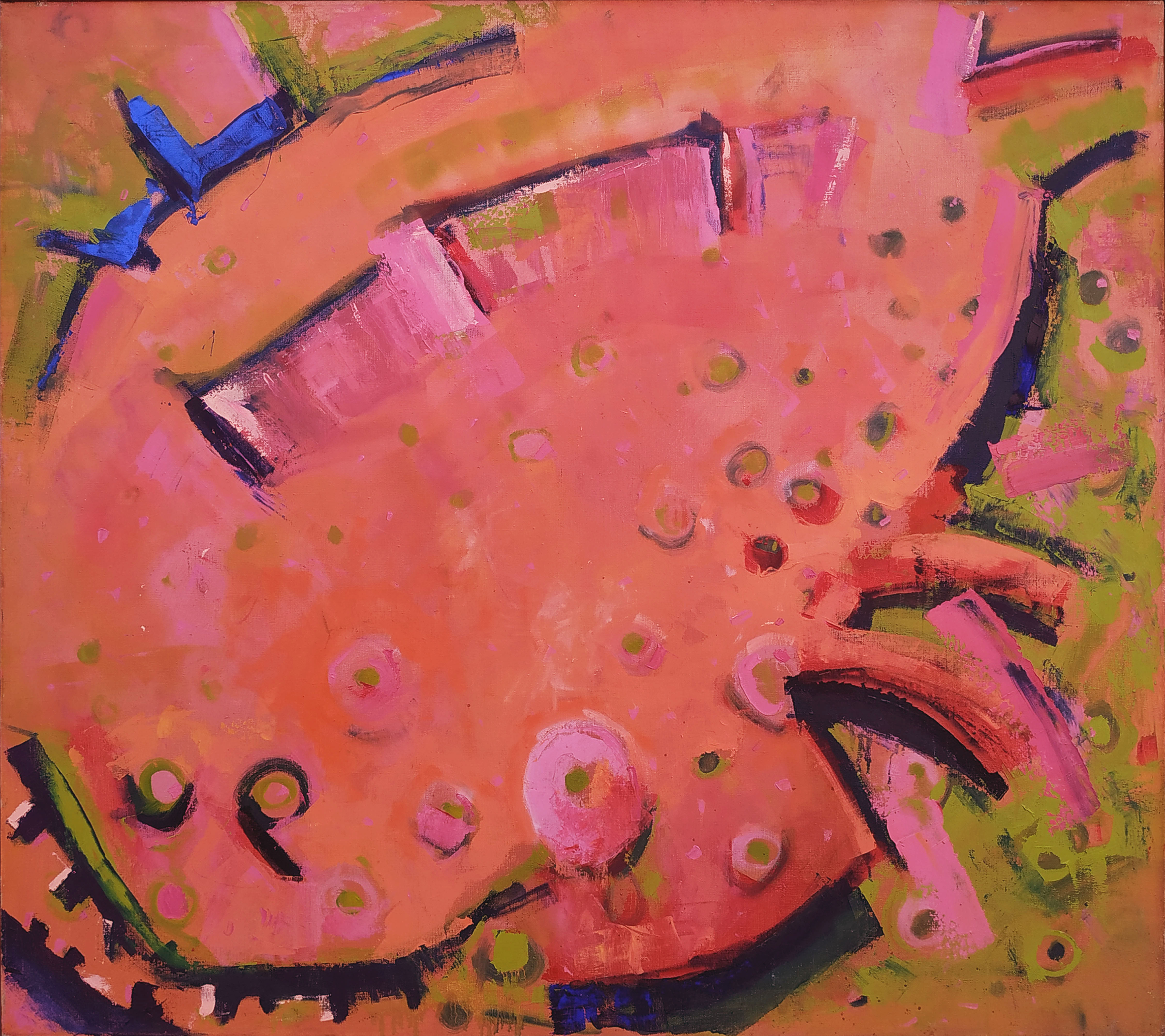 Płastruga &mdash; Joanna Plakiewicz 