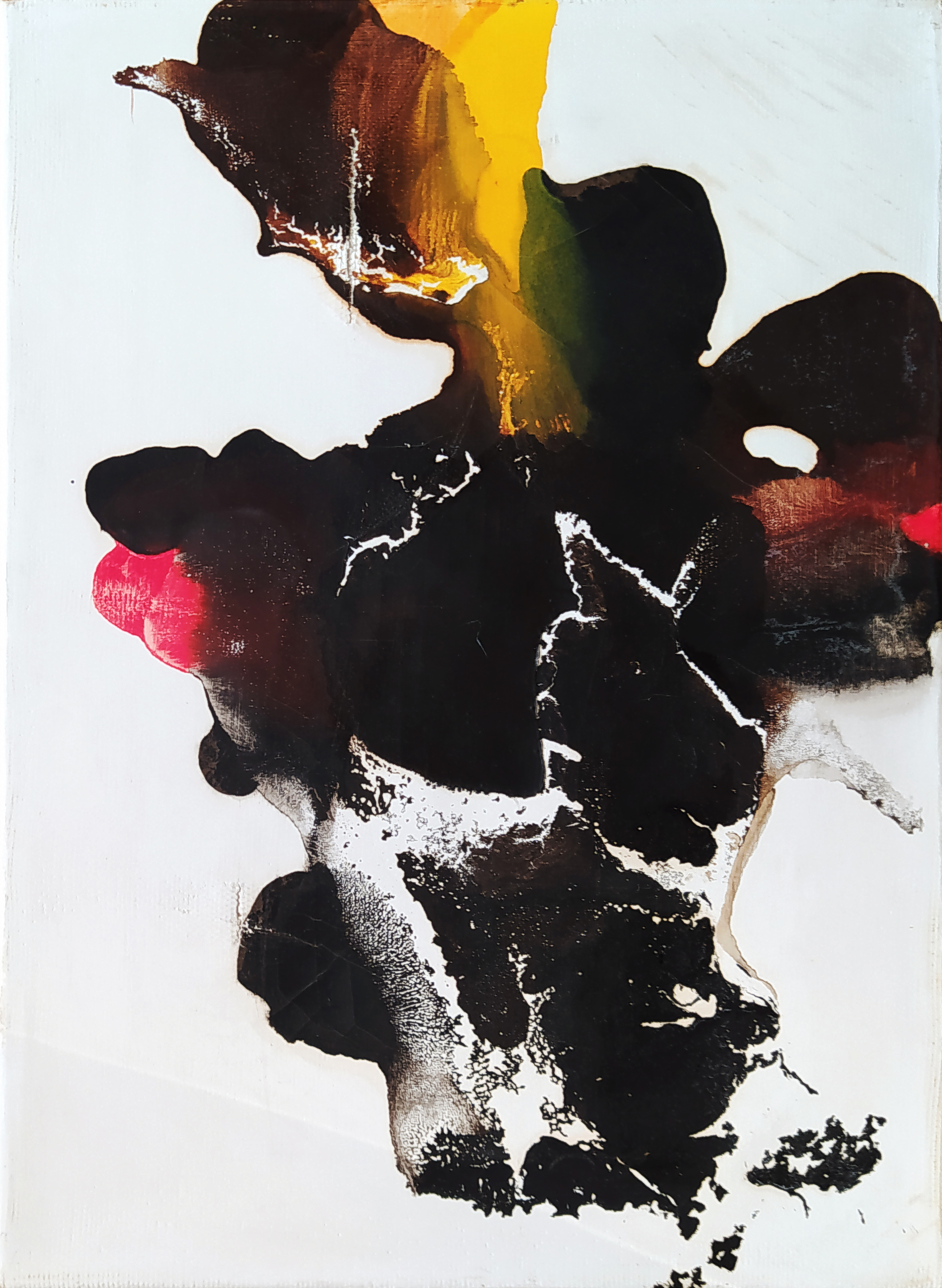 Trzech braci 3 &mdash; Zdzisław Constantin Majrowski-Meyro