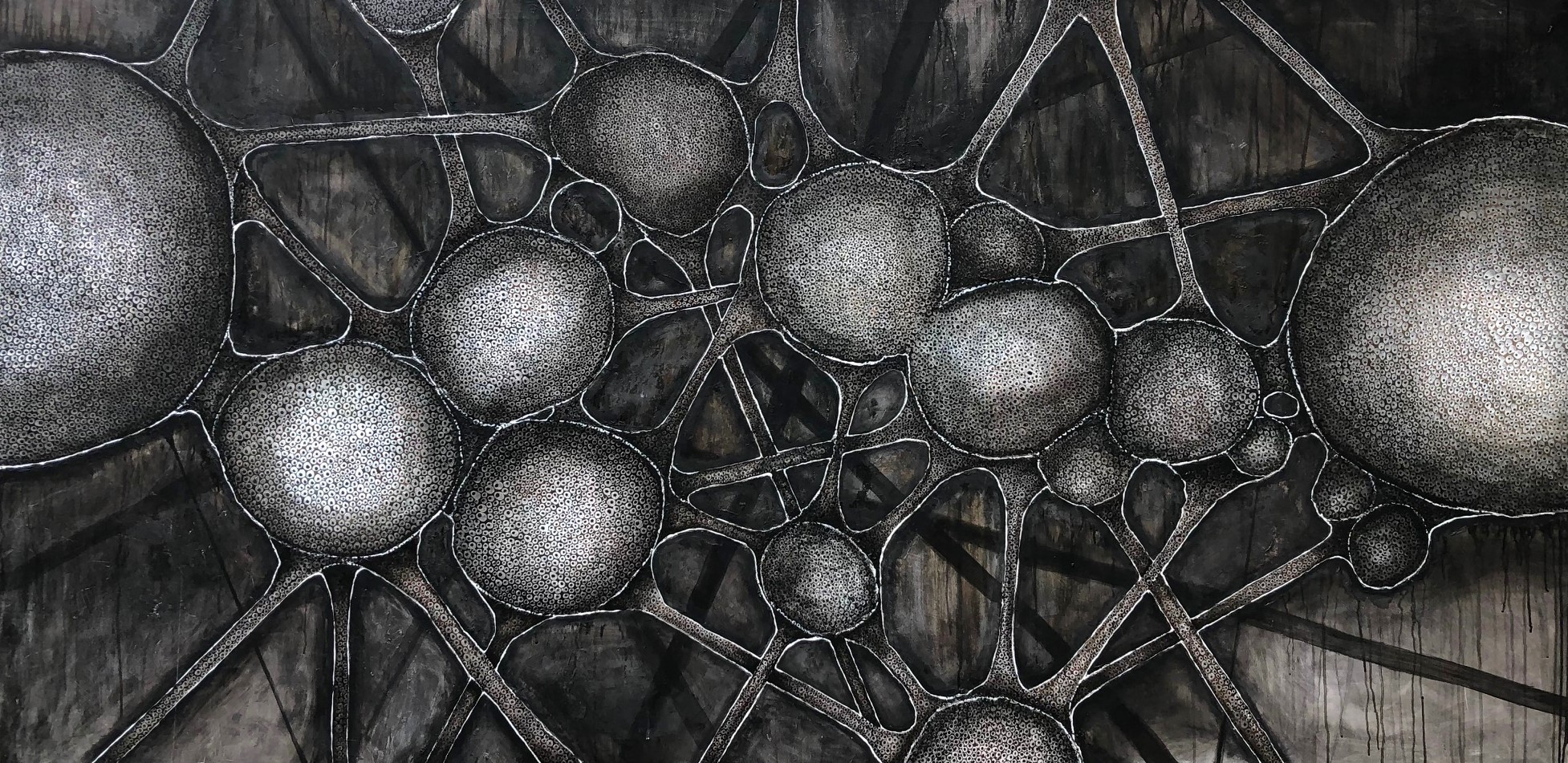 Nautilus &mdash;  Łukasz Olek