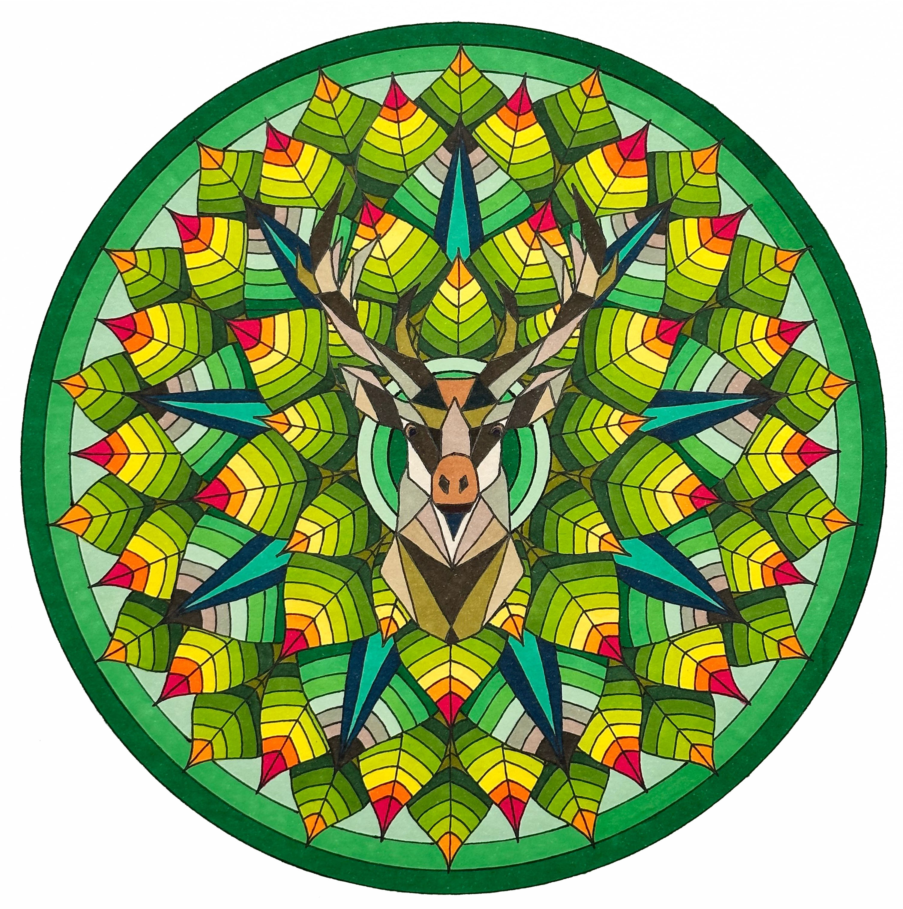 Hern &mdash; Grażyna Falkiewicz