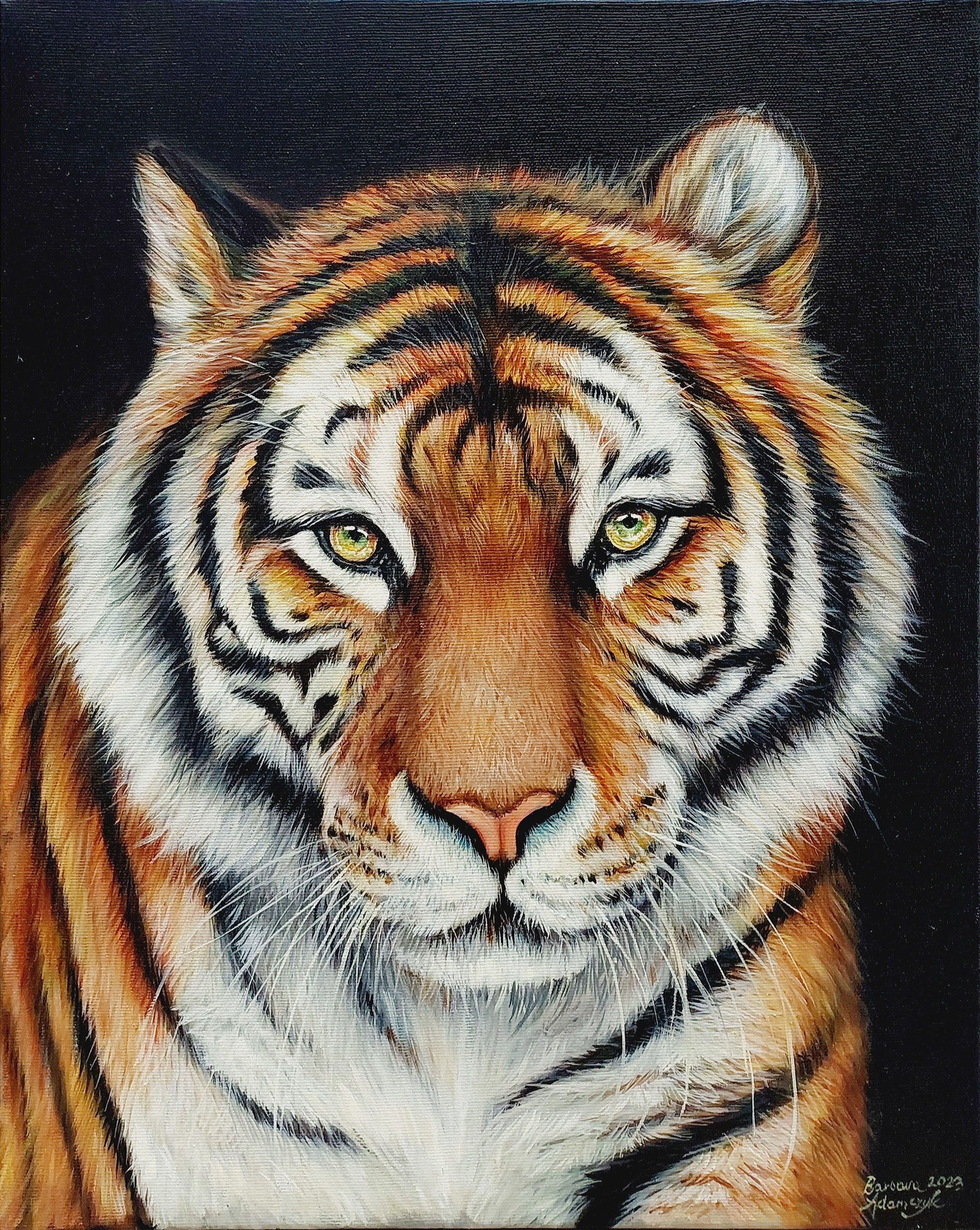 Tygrys — Barbara Adamczyk