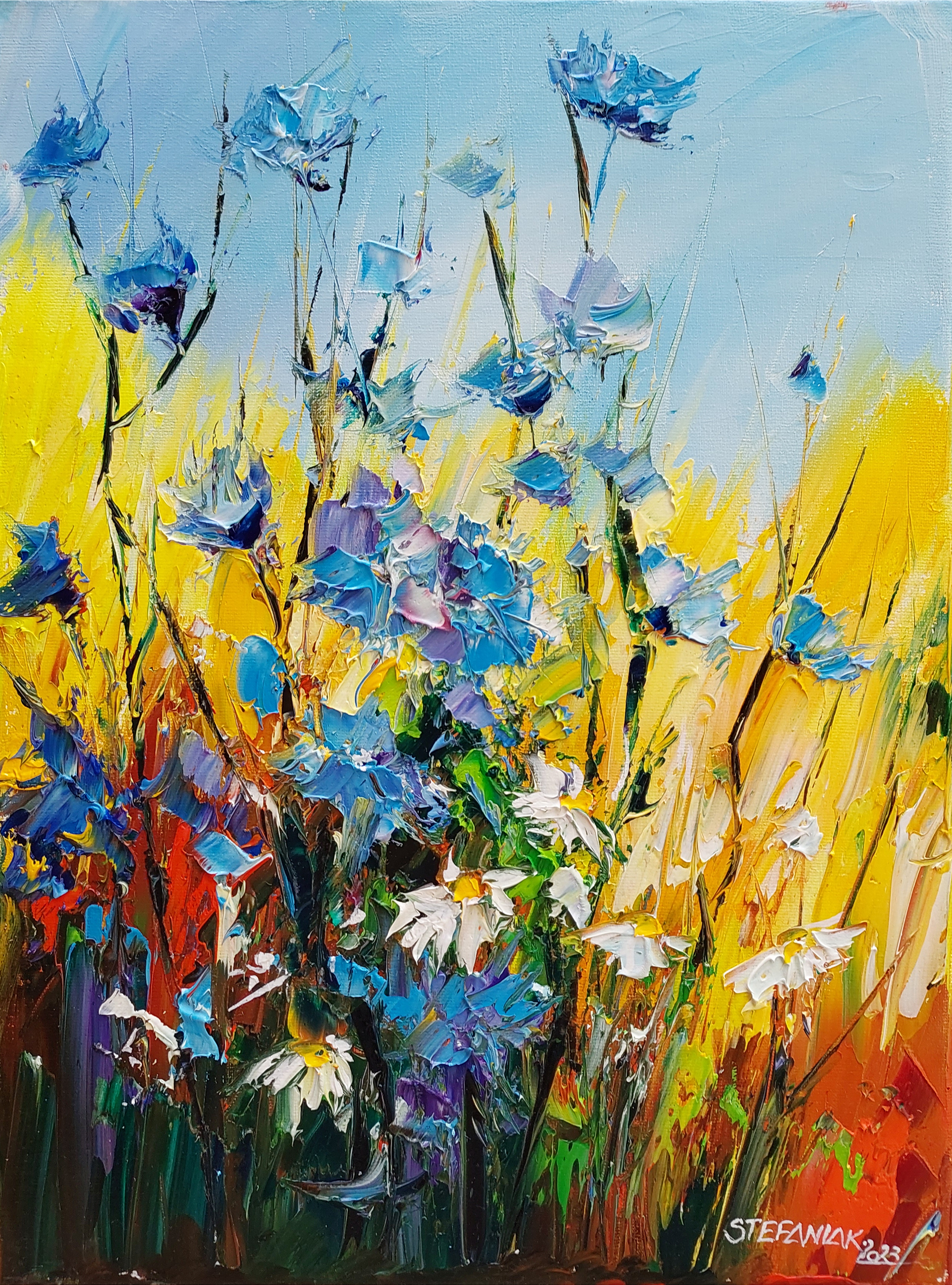 Cykoria Podróżnik &mdash; Małgorzata Stefaniak 