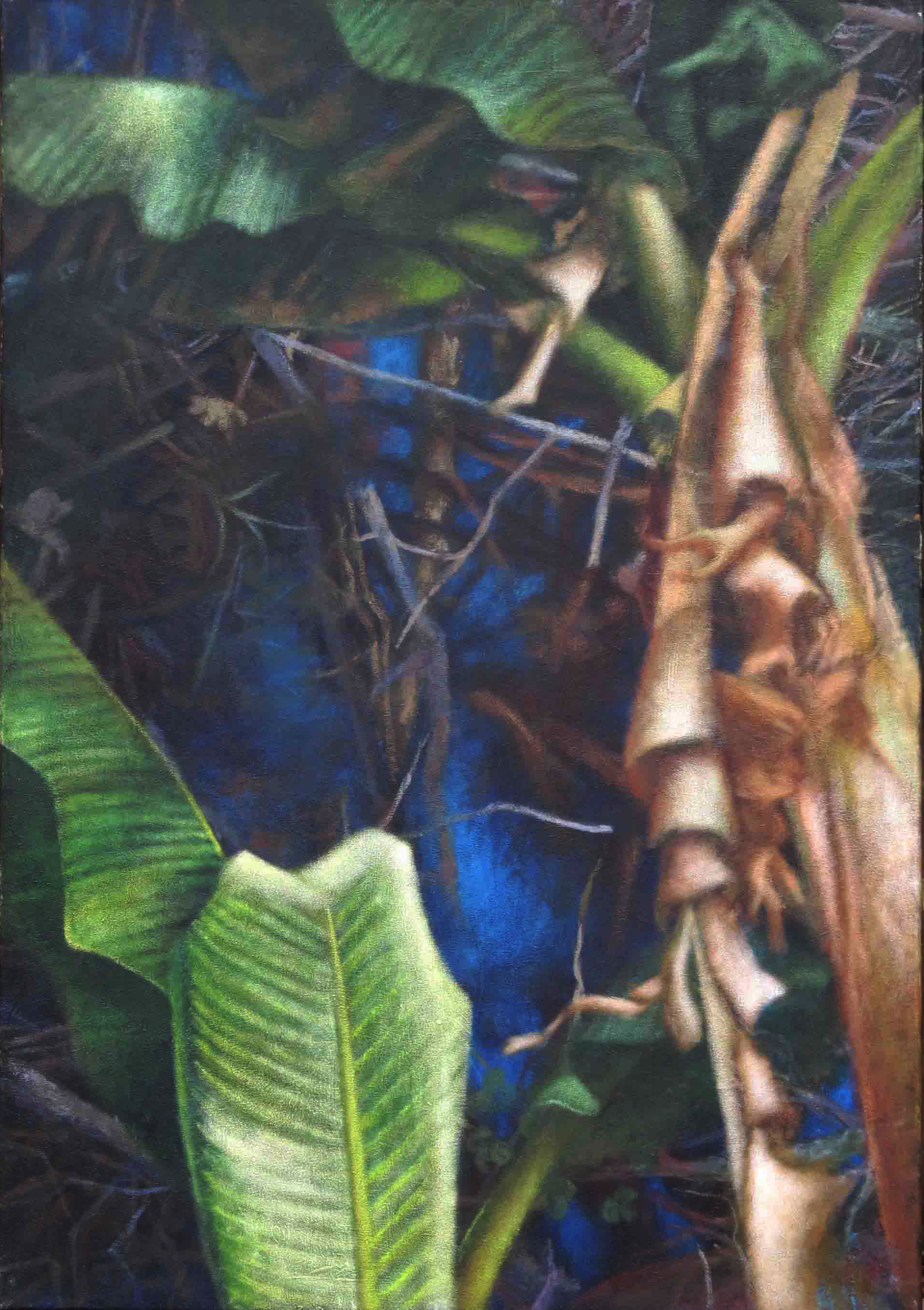 Egzotyczny las &mdash; Justyna Ryll