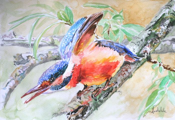 Koliber &mdash; Danuta Jaskólska