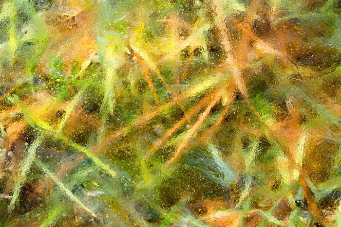 Kompozycja w zieleni &mdash; Waldemar Komorowski