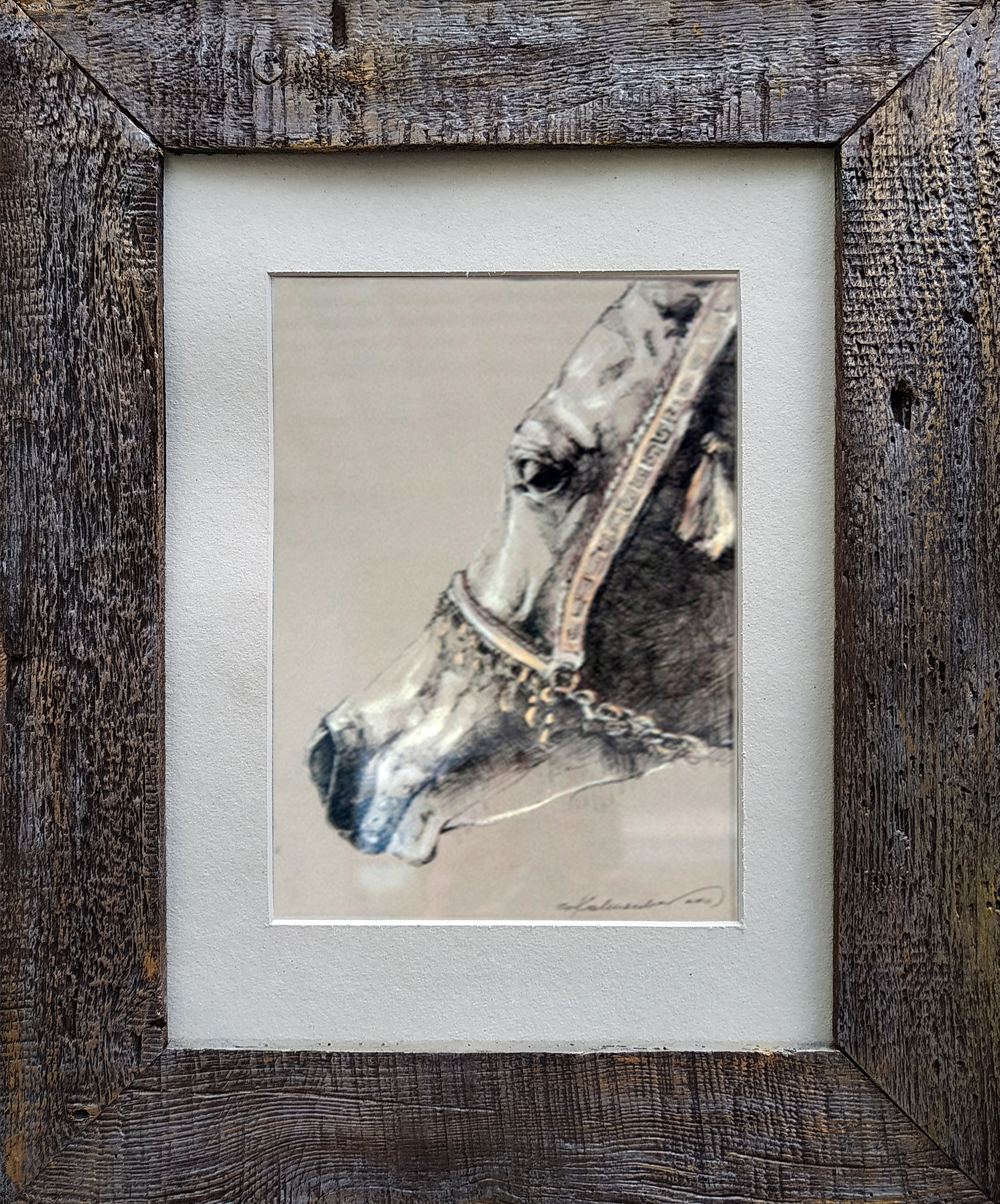 Konie 1 &mdash; Sylwia Kalinowska