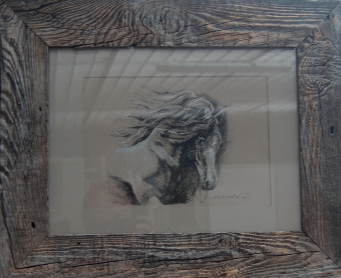 Konie 8 &mdash; Sylwia Kalinowska