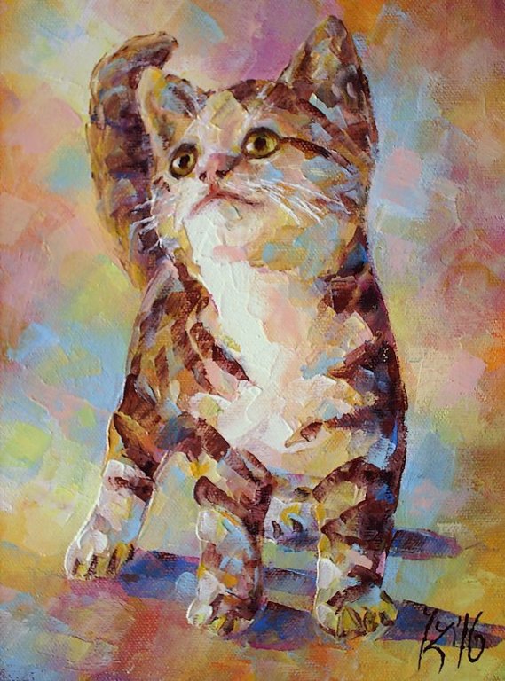 Kotek &mdash; Janusz Zieliński