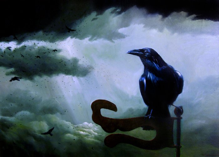 Kruk &mdash; Waldemar Wroński