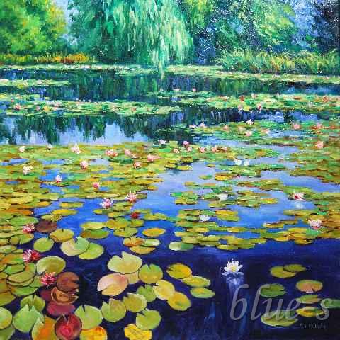 Kwitnące nenufary &mdash; Mariusz Idkowiak