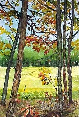 Leśne dukty &mdash; Beata Gugnacka