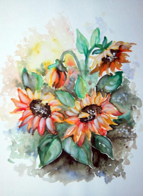 Małe słoneczniki &mdash; Viola Sado