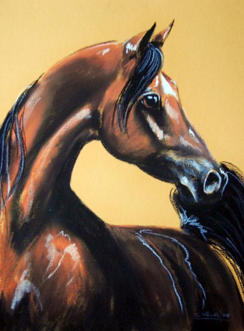 Młody koń &mdash; S.Tłenda