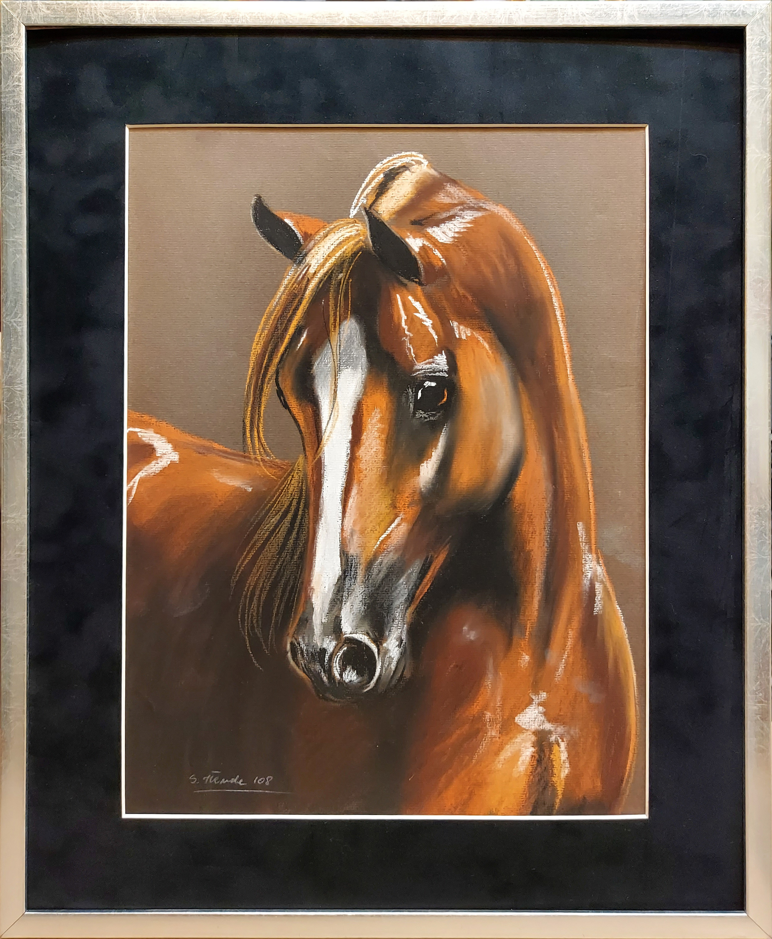 Młody koń — S.Tłenda