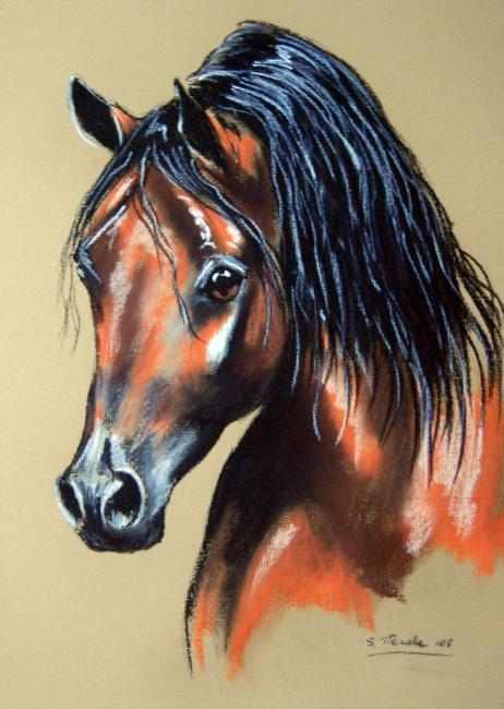 Młody konik &mdash; S.Tłenda