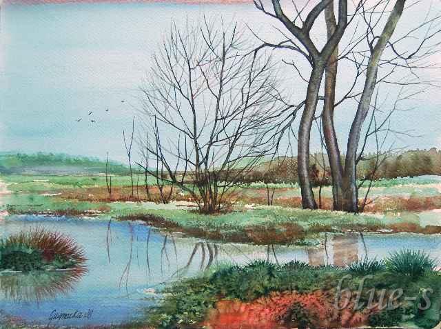 Mokradła &mdash; Beata Gugnacka