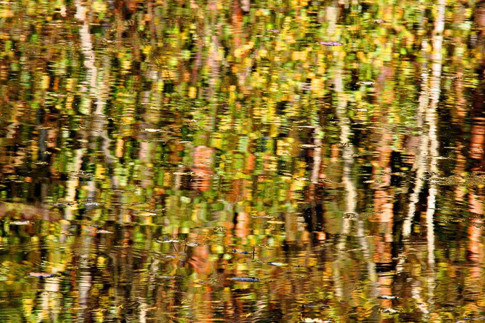 Mozaika &mdash; Bożena Komorowska