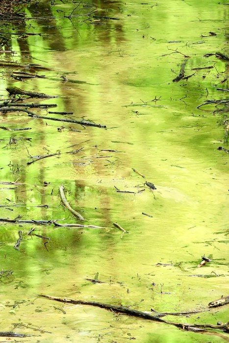 Nurt &mdash; Waldemar Komorowski