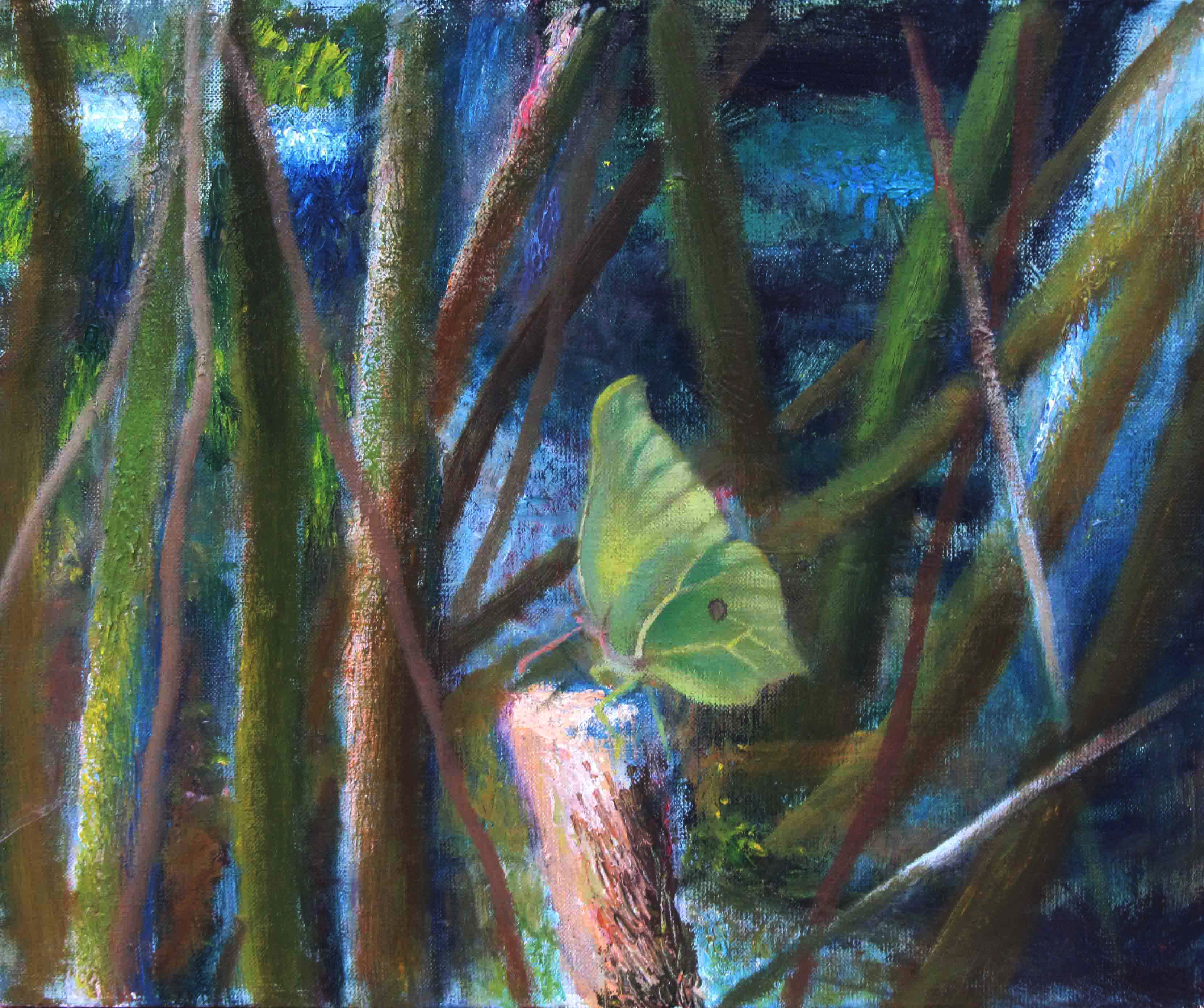 Odpoczynek motyla &mdash; Justyna Ryll