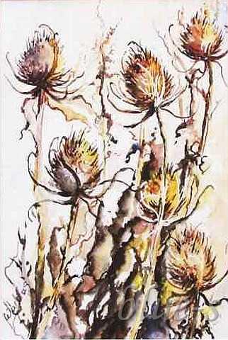 Osty &mdash; Urszula Wardas