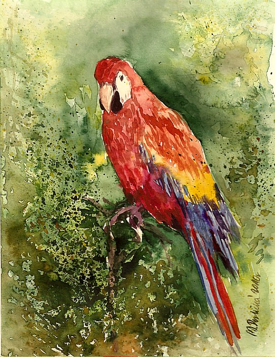 Papuga &mdash; Michalina Derlicka