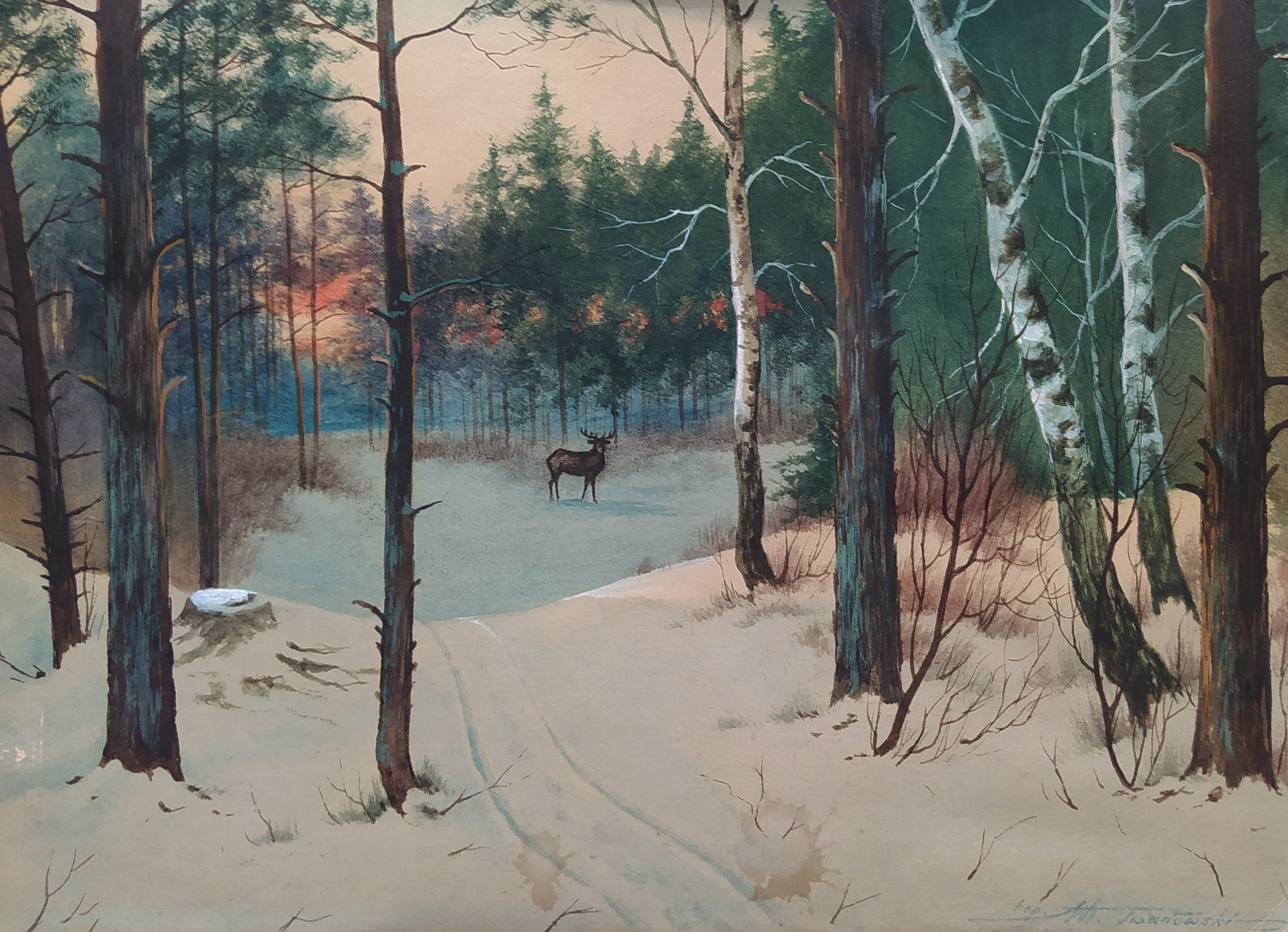 Król lasu ( kop. St. Zygmuntowicz) &mdash; W. Iwanowski