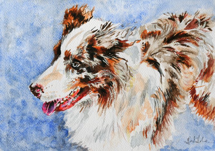 Piesek &mdash; Danuta Jaskólska