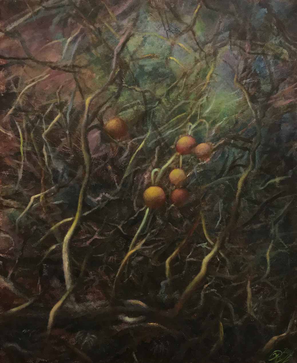 Plątanina &mdash; Justyna Ryll