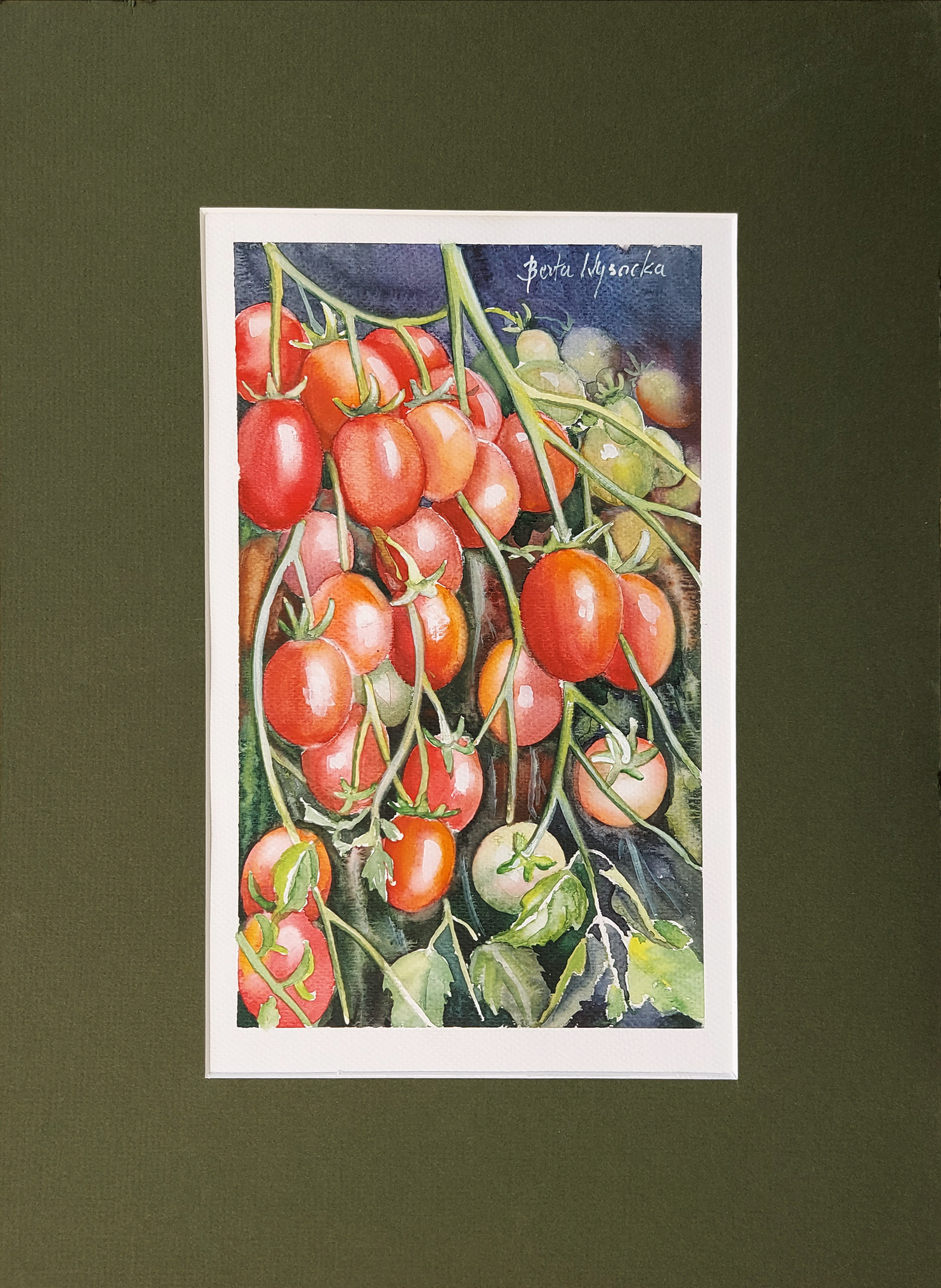 Pomidory &mdash; Berta Wysocka