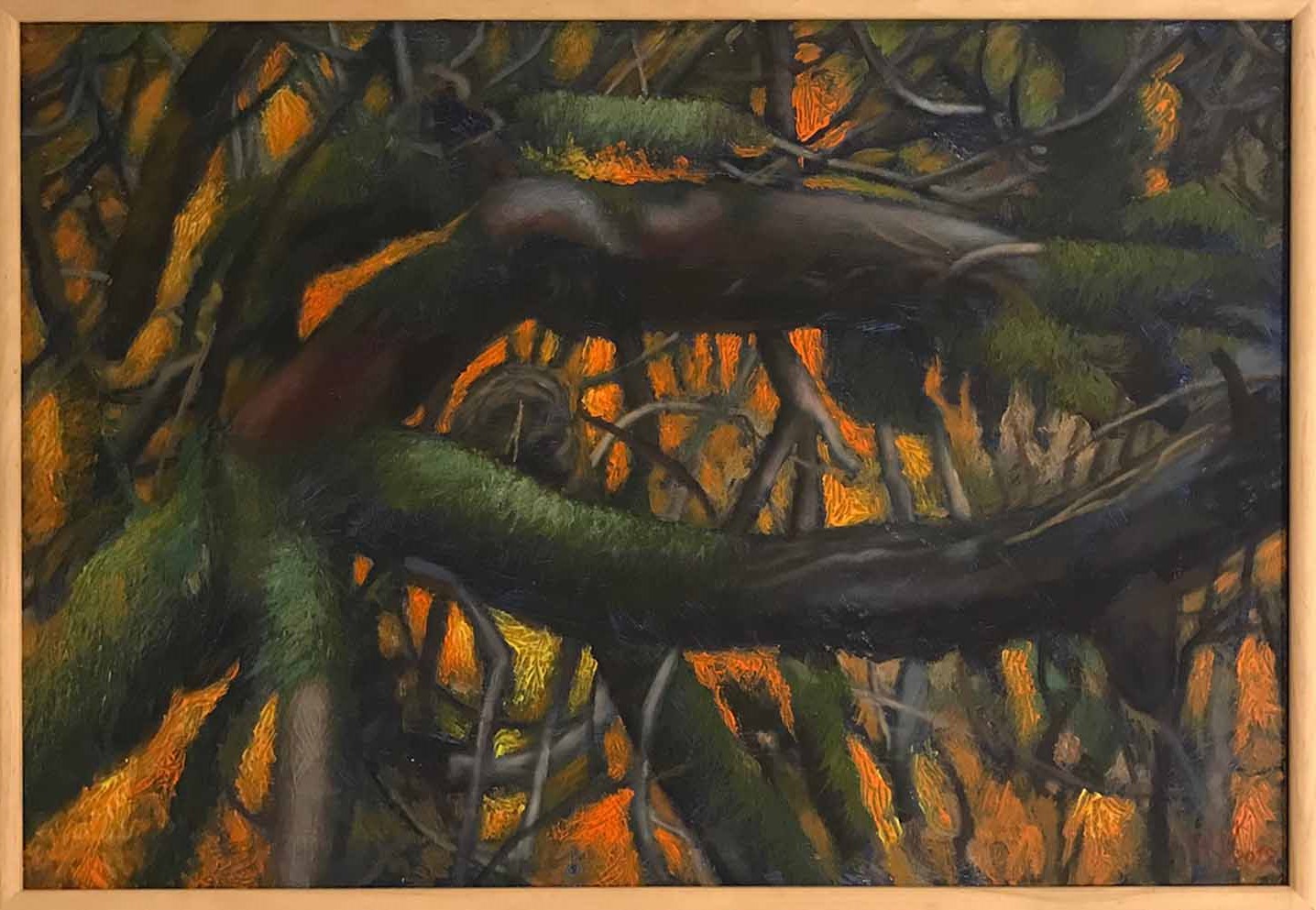 Prześwity &mdash; Justyna Ryll