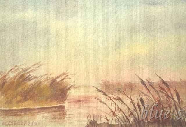 Sitowie &mdash; W. Stenderski