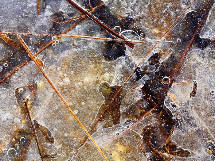 W trójkącie &mdash; Waldemar Komorowski