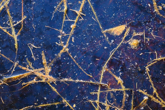 Wyklejanka &mdash; Waldemar Komorowski