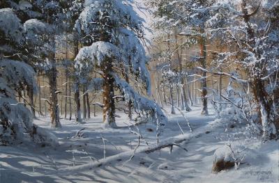 Zima w szacie &mdash; Marek Szczepaniak